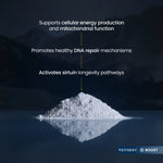 Powder on a reflective surface with text about cellular energy production and DNA repair.