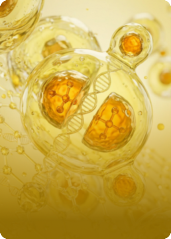 Close-up of a yellow gelatinous substance with bubbles and a honeycomb-like texture.