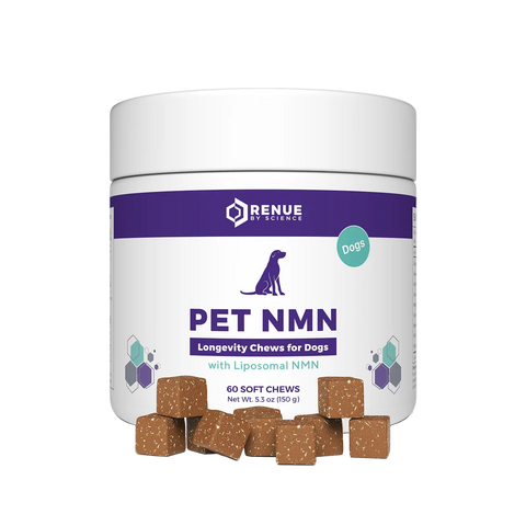 PET NMN Longevity Chews for Dogs