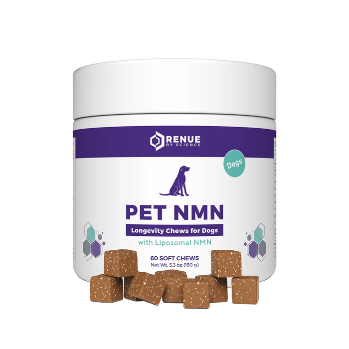 PET NMN Longevity Chews for Dogs