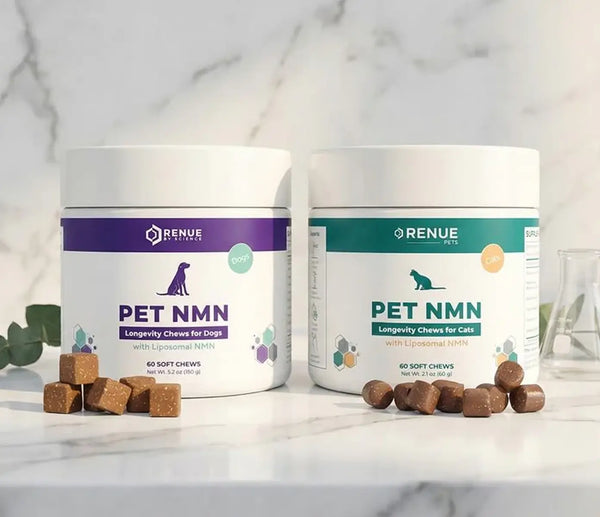Two containers of Renue Pets PET NMN supplements for dogs and cats on a marble surface.