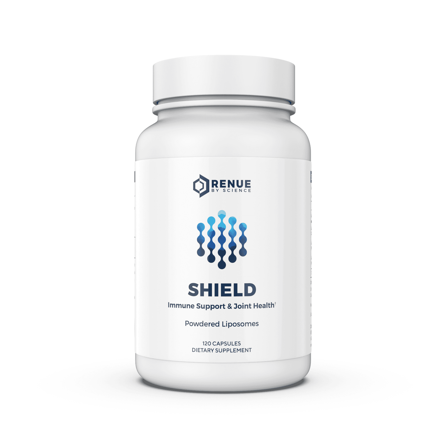 Shield - Image 3