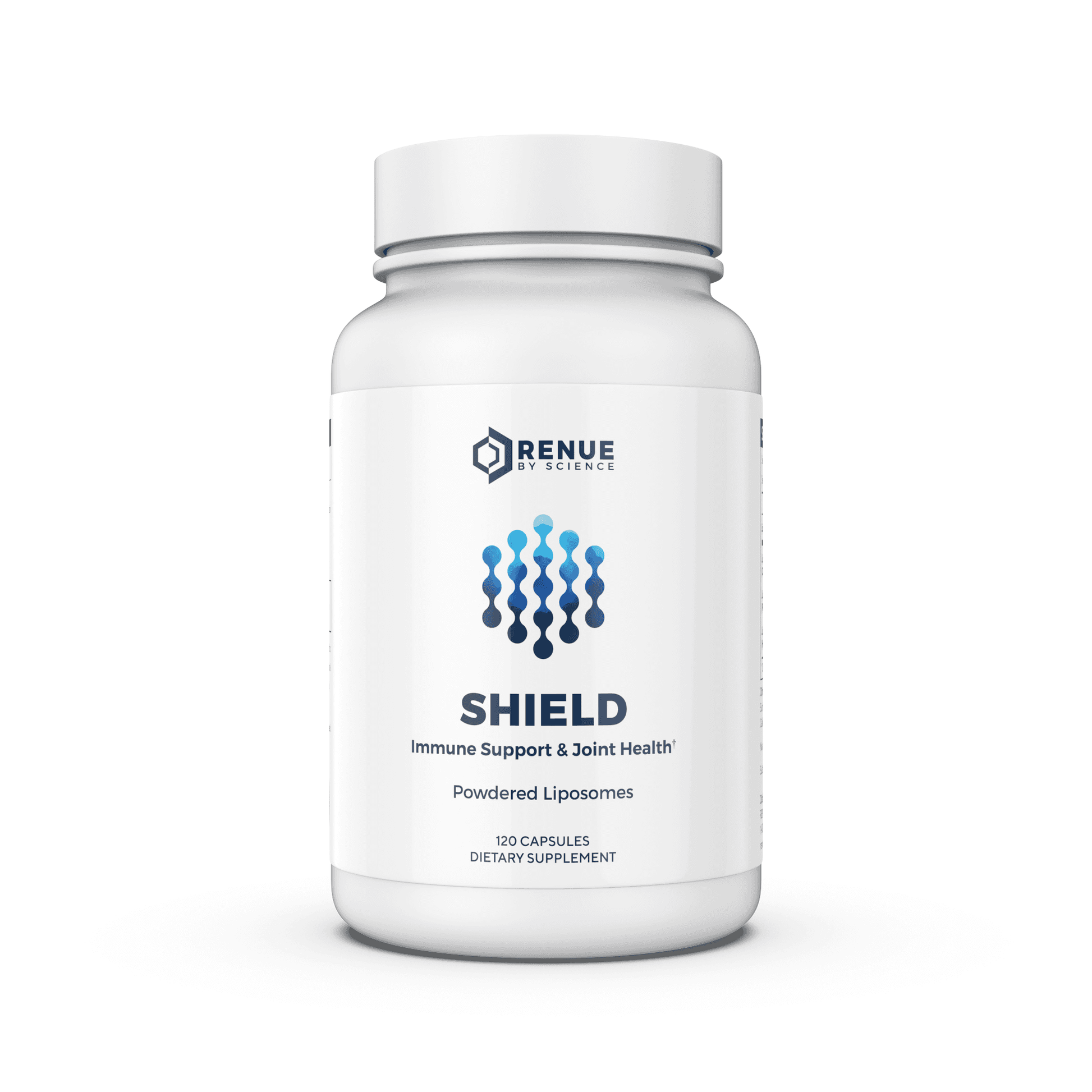 Shield - Image 3