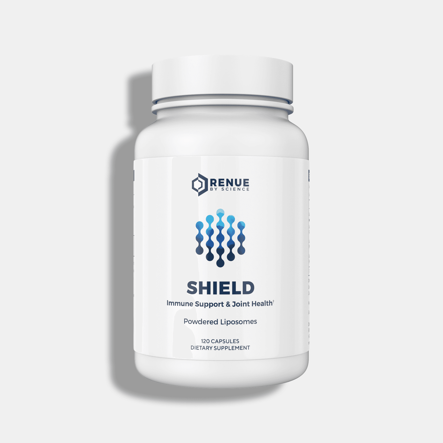 Shield - Image 2