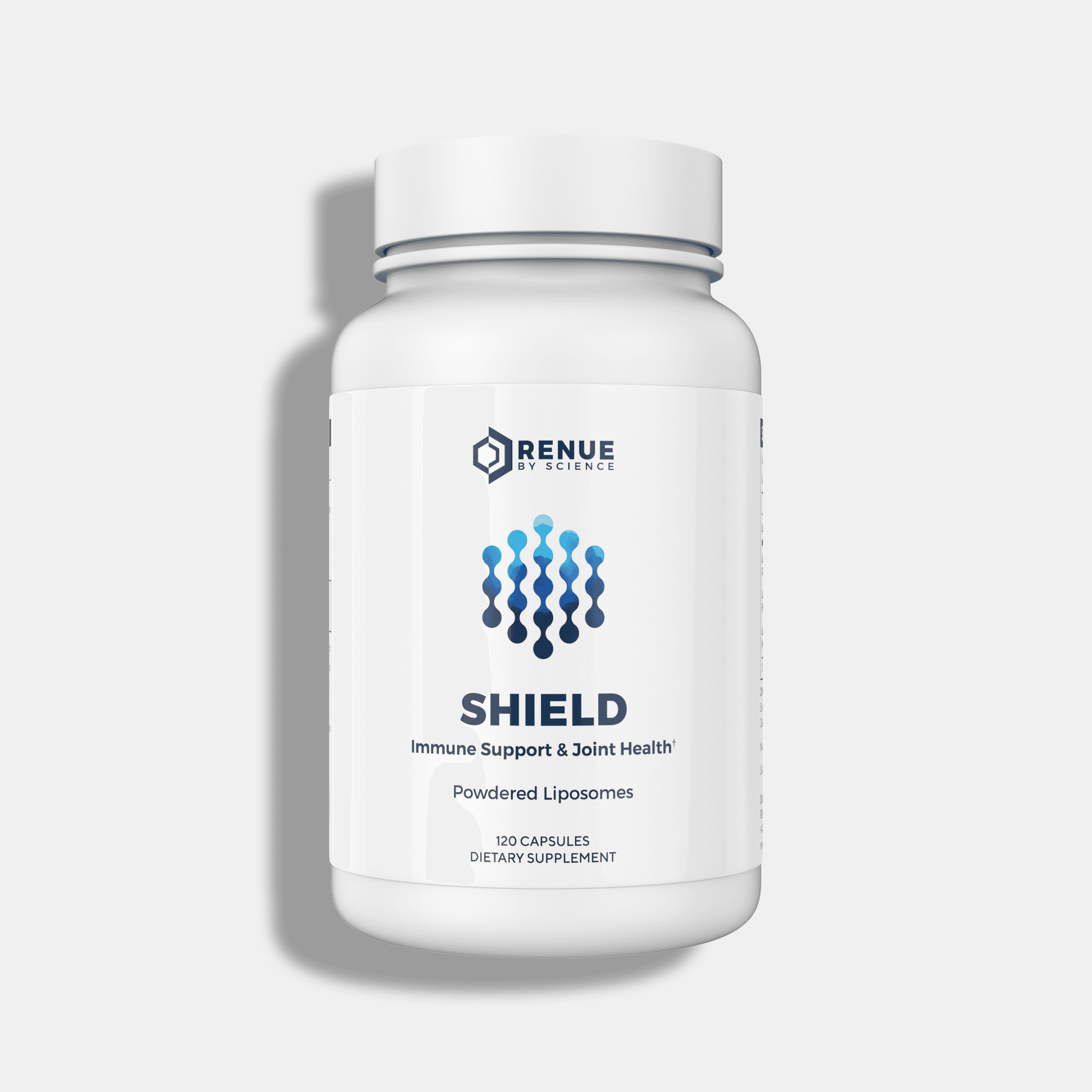 Shield - Image 2