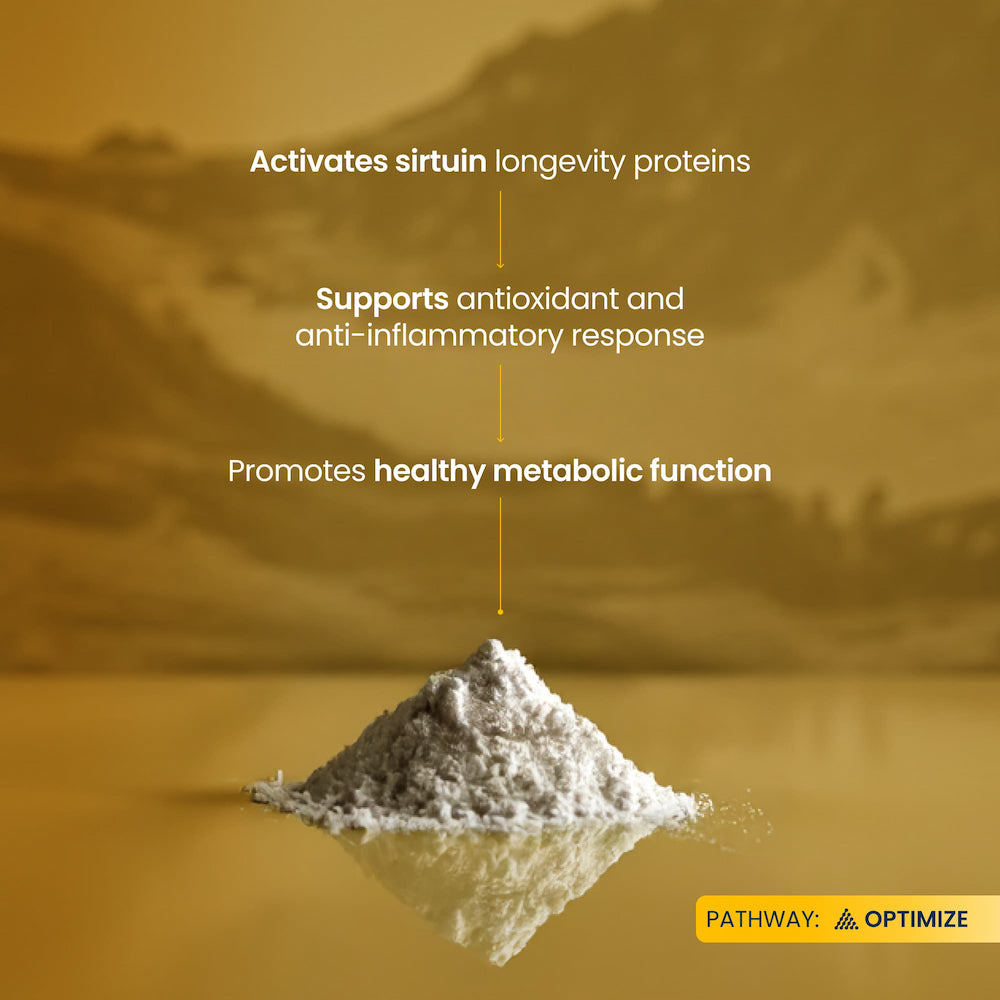 Powder on a reflective surface with text about activating sirtuin proteins and supporting antioxidant response.