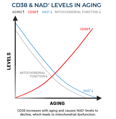 CD38 and NAD levels