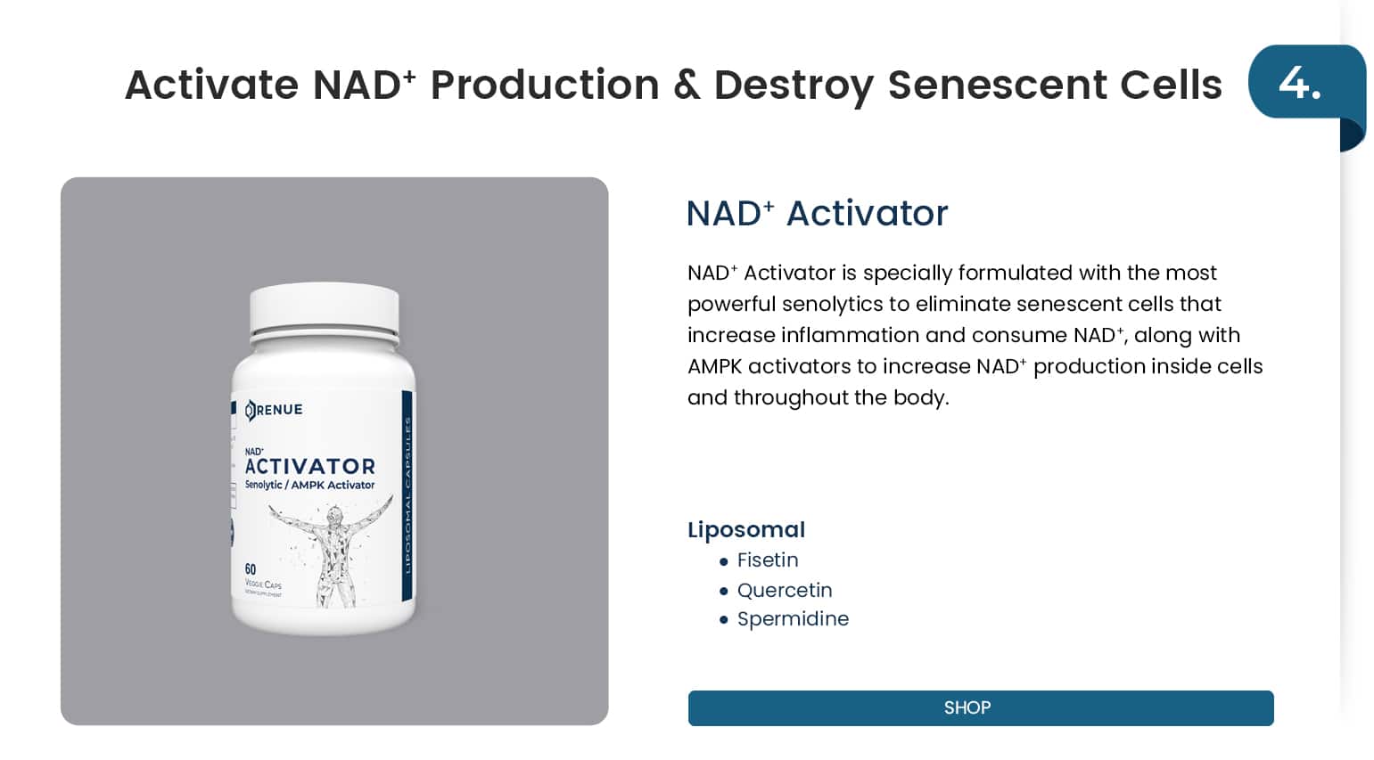 NAD Activator