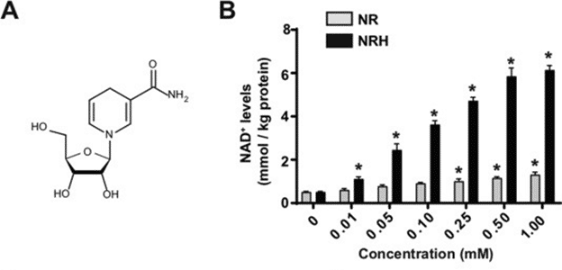  NRH is a more potent NAD+ precursor compare to NR (Giroud-Gerbetant et al. 2019)