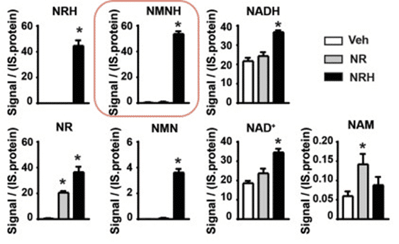 NRH increases cellular NMN and NMNH level (Giroud-Gerbetant et al. 2019)