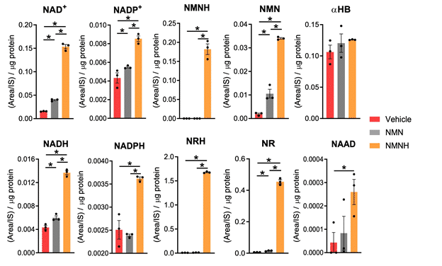 NMNH increases the cellular NR and NRH levels (Zapata-Pérez et al. 2019)